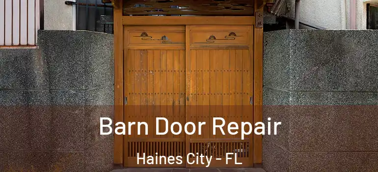 Barn Door Repair Haines City - FL