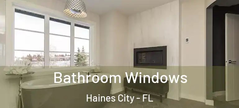 Bathroom Windows Haines City - FL