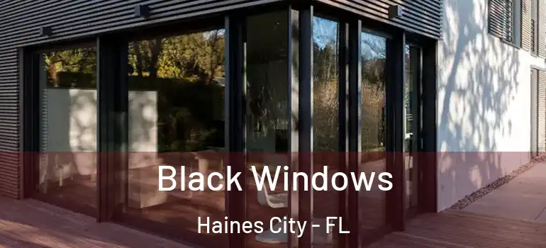 Black Windows Haines City - FL