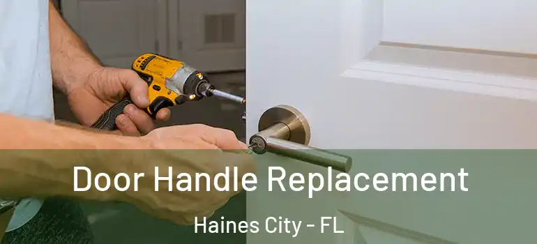 Door Handle Replacement Haines City - FL