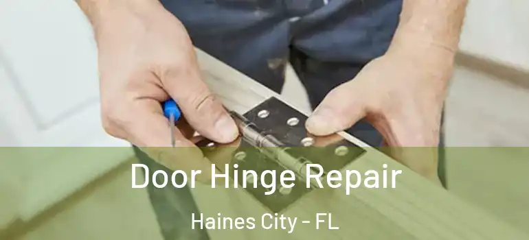 Door Hinge Repair Haines City - FL