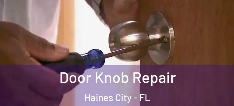 Door Knob Repair Haines City - FL