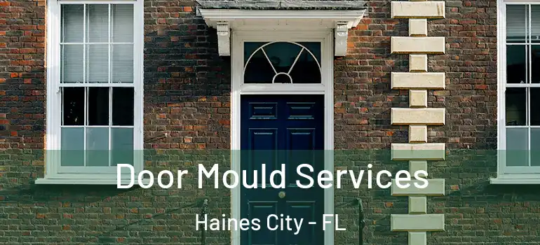Door Mould Services Haines City - FL