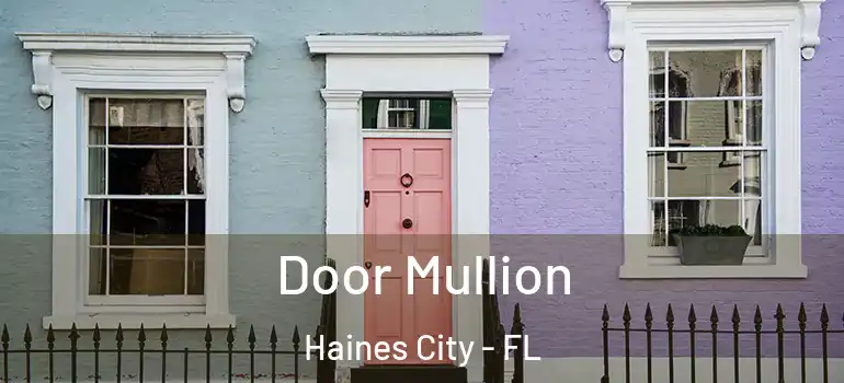 Door Mullion Haines City - FL