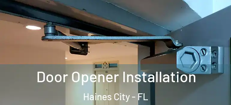 Door Opener Installation Haines City - FL