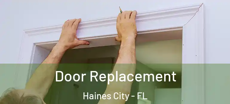 Door Replacement Haines City - FL
