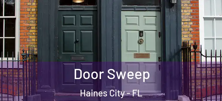 Door Sweep Haines City - FL