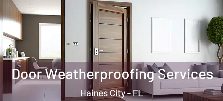 Door Weatherproofing Services Haines City - FL