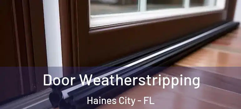 Door Weatherstripping Haines City - FL