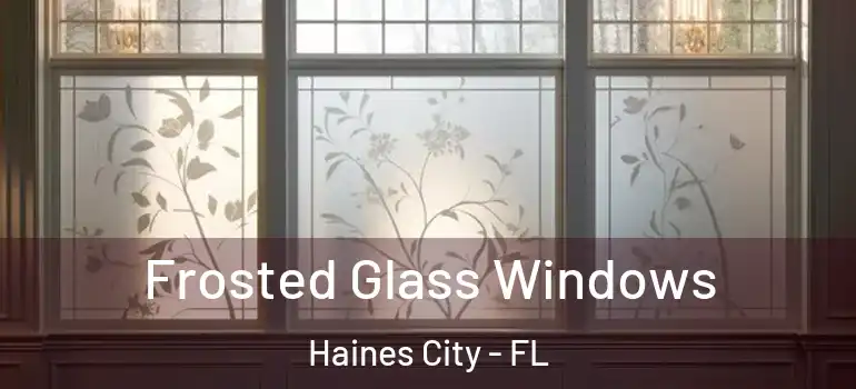 Frosted Glass Windows Haines City - FL