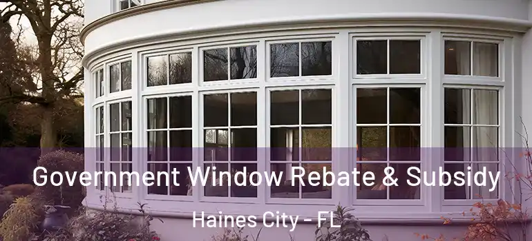 Government Window Rebate & Subsidy Haines City - FL
