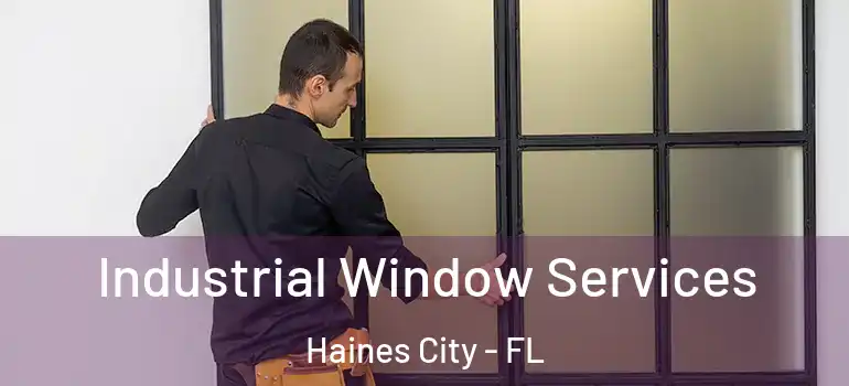 Industrial Window Services Haines City - FL