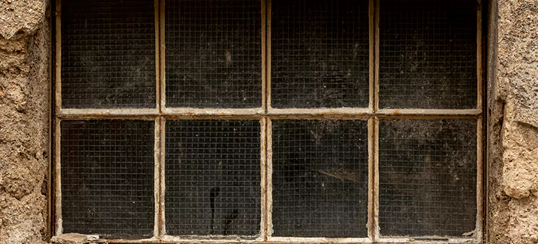 Traditional Double Front Doors in Haines City, FL