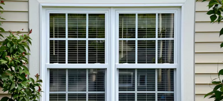 Custom Double Hung Windows in Haines City, FL