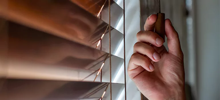 Double Roller Blinds in Haines City, FL