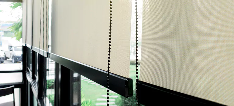 Blackout Window Shades in Haines City, FL