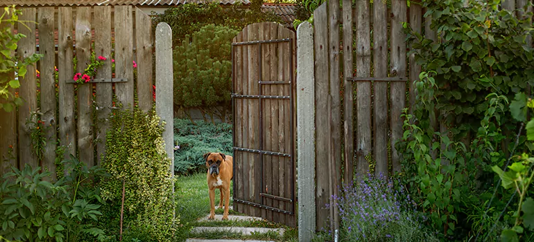 Winter Garden Garage Door Repair in Haines City,[location field=state]