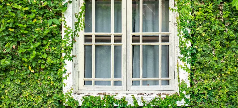 Garden Window Repair Near Me in Haines City, FL