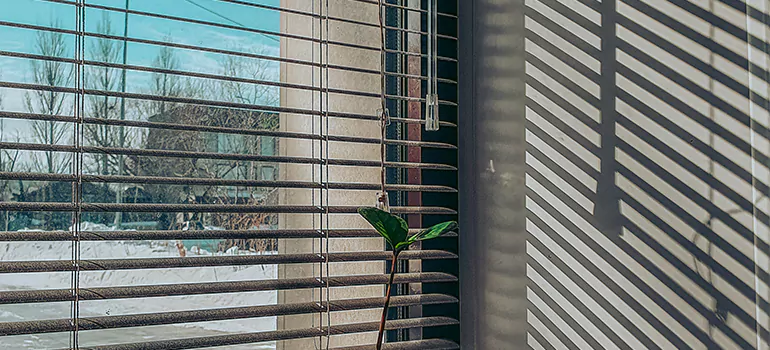 Commercial Window Blinds in Haines City, FL