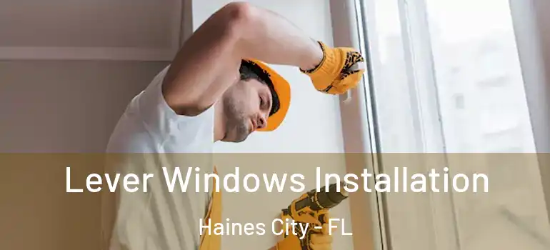 Lever Windows Installation Haines City - FL