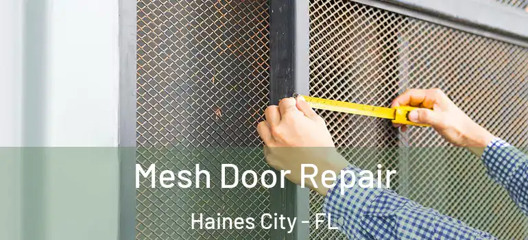 Mesh Door Repair Haines City - FL