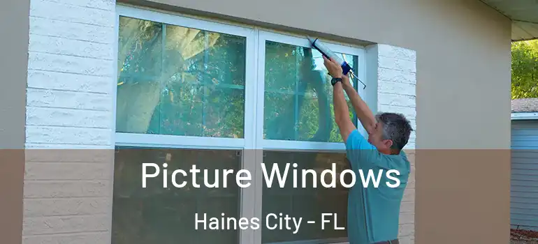 Picture Windows Haines City - FL