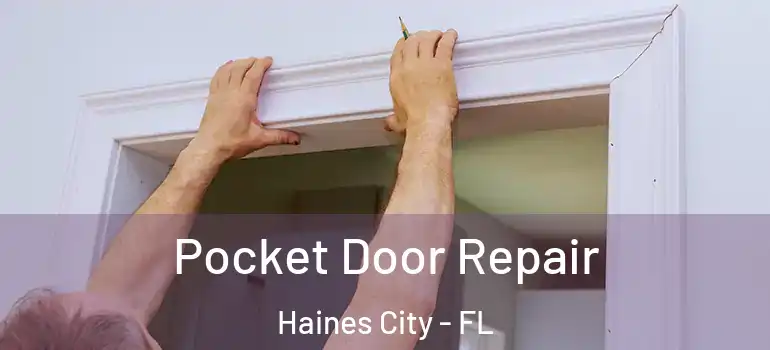 Pocket Door Repair Haines City - FL