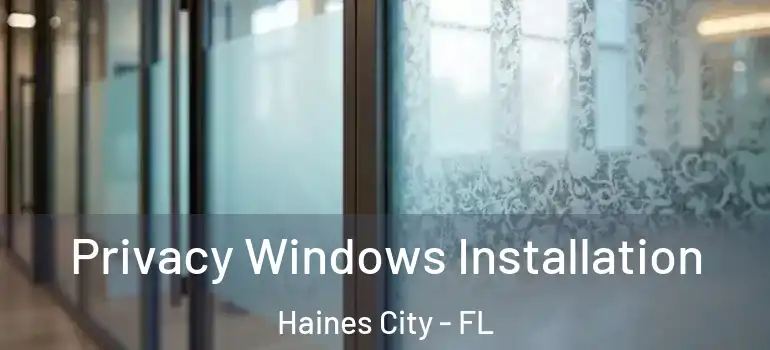 Privacy Windows Installation Haines City - FL