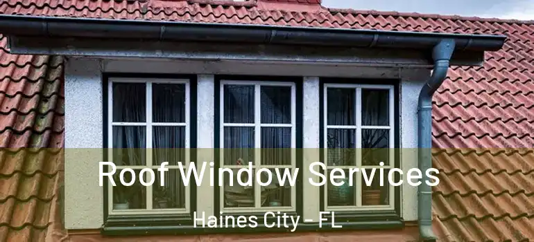 Roof Window Services Haines City - FL