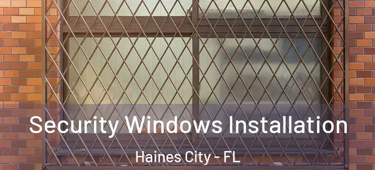 Security Windows Installation Haines City - FL