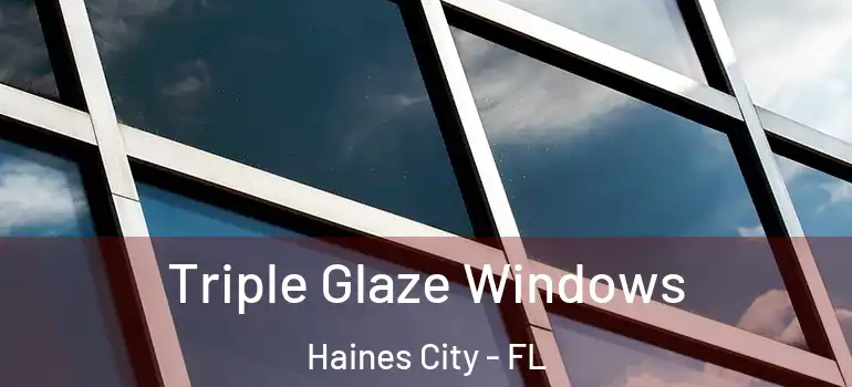 Triple Glaze Windows Haines City - FL