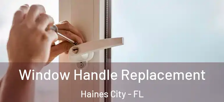 Window Handle Replacement Haines City - FL