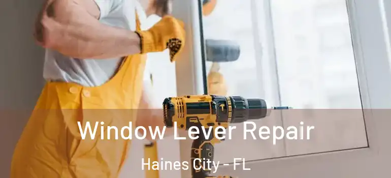 Window Lever Repair Haines City - FL