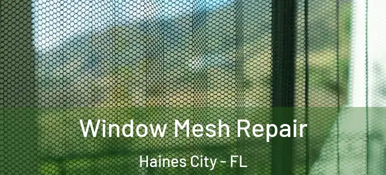 Window Mesh Repair Haines City - FL