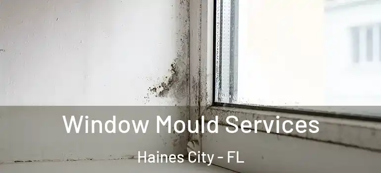 Window Mould Services Haines City - FL