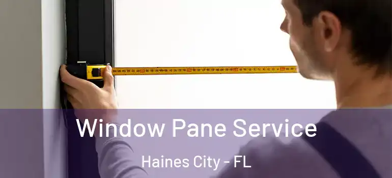 Window Pane Service Haines City - FL