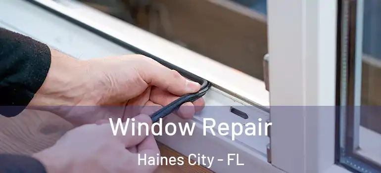 Window Repair Haines City - FL