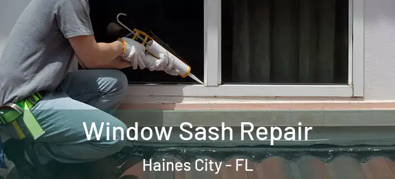 Window Sash Repair Haines City - FL