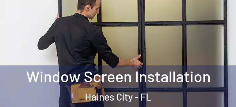 Window Screen Installation Haines City - FL