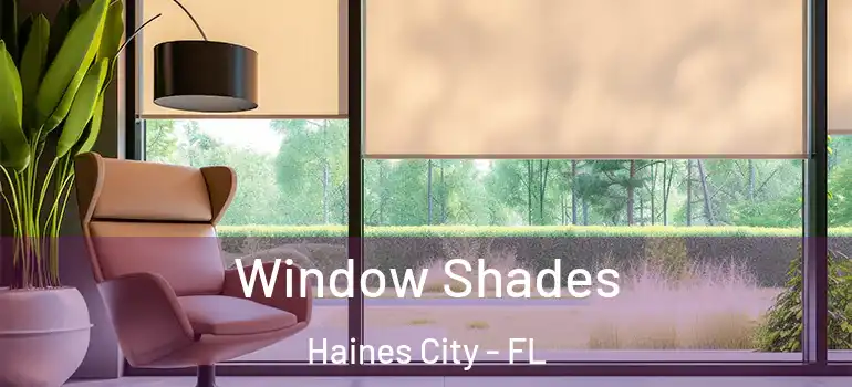 Window Shades Haines City - FL