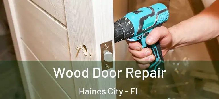 Wood Door Repair Haines City - FL